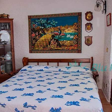 Bluponza Case Vacanza Avalon *